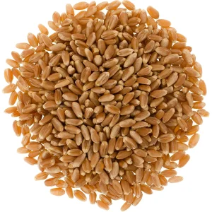 WHEAT 1-2-3-4-GRADES